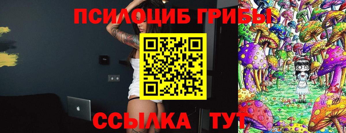Галлюциногенные грибы Cubensis Королёв